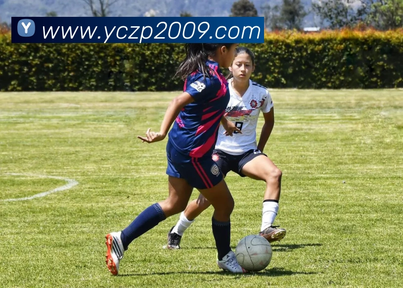 赛事专题整合